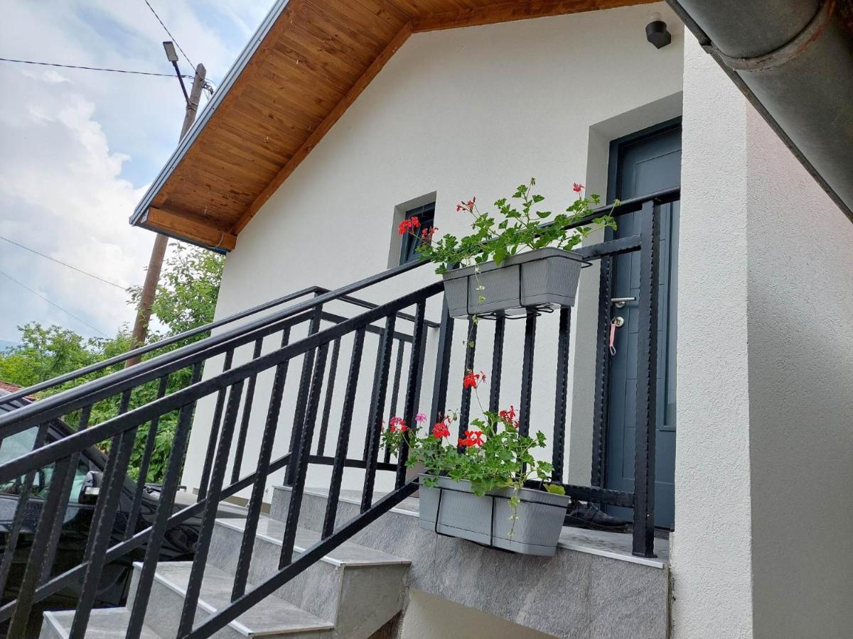 Apartmani Visegradski Pogled Bagian luar foto